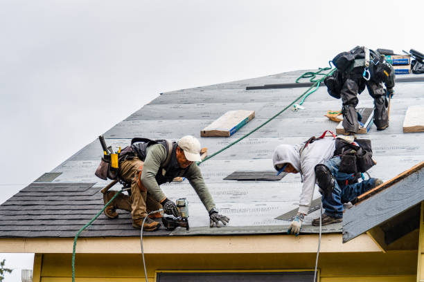 Professional Storm Damage Roof Repair technician working in Delphia, KY
